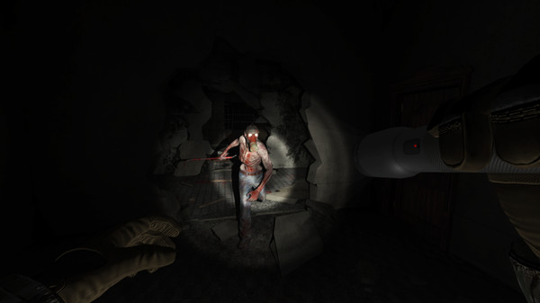 Allisons Diary Rebirth Free Download